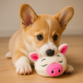 soft pig toy for puppies