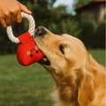 heart rope tug dog toy